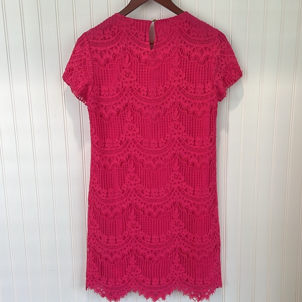 🩷 Lace Shift Dress - Picture 3 of 10